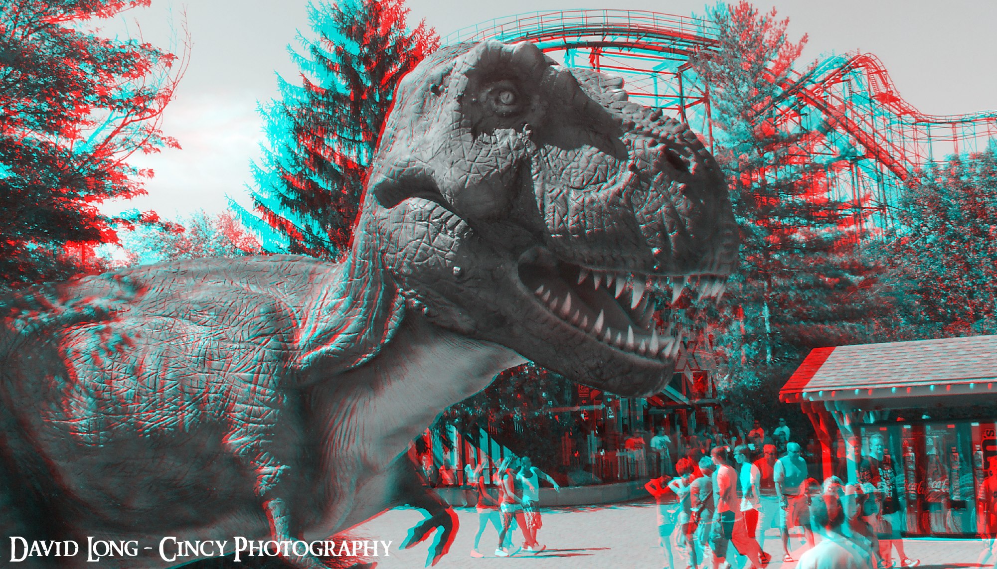 3D Photos Anaglyph Stereoscopic Images by Cincy Photography