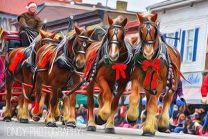 lebanon horse drawn carriage parade