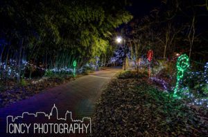 Cincinnati Zoo Festival of Lights