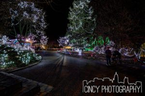 Cincinnati Zoo Festival of Lights