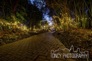 Cincinnati Zoo Festival of Lights