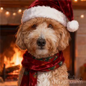 custom pet portrait