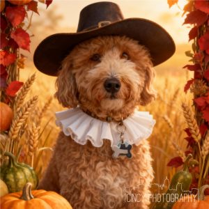 Custom Dog Portrait custom pet portrait