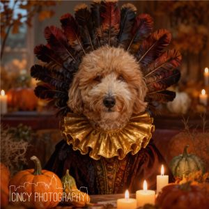 Custom Dog Portrait custom pet portrait